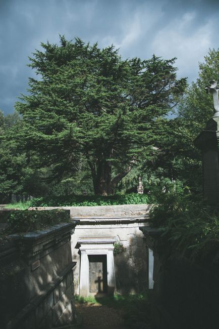 A peaceful graveyard scene within a residential area, featuring multiple headstones made of stone and concrete arranged in rows among well-maintained grass and shrubbery. Tall, leafy trees with green and purple foliage cast dappled shade over the area, with a clear blue sky overhead. The setting appears quiet and orderly, suitable for home relocation or moving services that require careful access and planning near Highgate Cemetery. In the background, there's a pathway or clearing with additional gravestones, and low stone walls border parts of the site. The image captures the natural surroundings and calm environment of the historic cemetery, emphasizing the importance of precision during furniture transport and packing for nearby house removals, as handled by Man with Van Dartmouth Park.