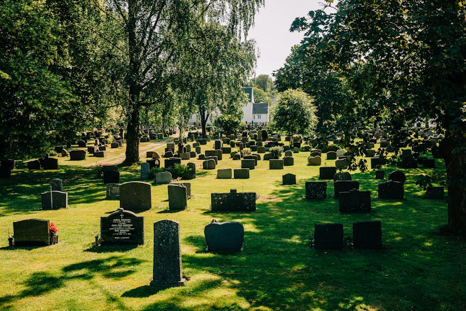 A wide, paved pathway through Dartmouth Park, bordered by grassy areas and mature trees. On the left side of the path, there is a graveyard with old, weathered headstones and monument gravestones, som