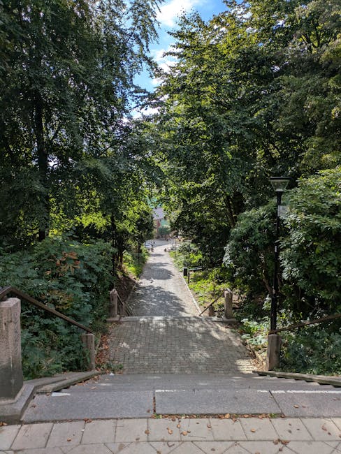 https://manwithvandartmouthpark.co.uk/blog/dartmouth-park-road-flats-tightstair-removals-guide/