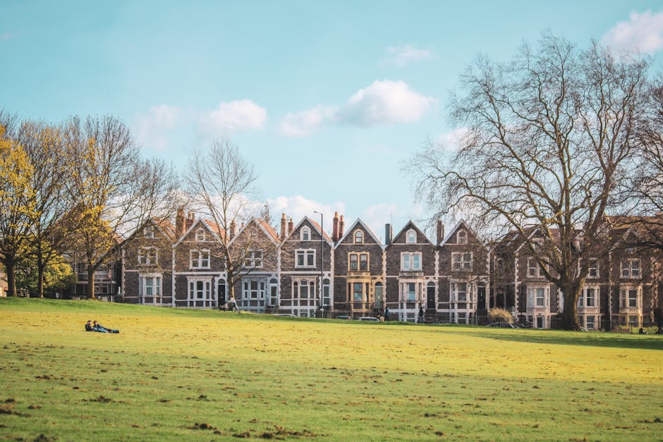 A wide view of a row of traditional terraced houses with brick facades and large sash windows, situated behind a large, open grassy park area in Dartmouth Park. The park features a well-maintained lawn with a few people sitting or lying on the grass, adjacent to a sidewalk or pathway near the houses. Tall, leafless trees are visible on the right and left sides, indicating late autumn or early spring. The sky is clear with a few scattered clouds, and bright natural sunlight illuminates the scene. In the foreground, there are no visible moving or packing activities, but this setting illustrates the typical environment where home relocation or furniture transport services by Man with Van Dartmouth Park might occur, involving loading or unloading processes near residential properties.