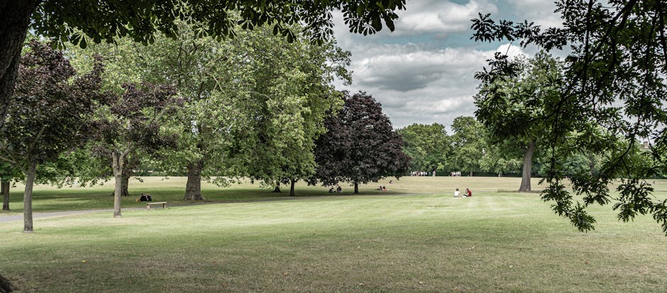 A wide view of a row of traditional terraced houses with brick facades and large sash windows, situated behind a large, open grassy park area in Dartmouth Park. The park features a well-maintained lawn with a few people sitting or lying on the grass, adjacent to a sidewalk or pathway near the houses. Tall, leafless trees are visible on the right and left sides, indicating late autumn or early spring. The sky is clear with a few scattered clouds, and bright natural sunlight illuminates the scene. In the foreground, there are no visible moving or packing activities, but this setting illustrates the typical environment where home relocation or furniture transport services by Man with Van Dartmouth Park might occur, involving loading or unloading processes near residential properties.